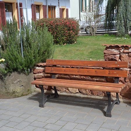 Ferienwohnungen Am Brunnen - Naehe Europapark, W-Lan, Klimaanlage Rheinhausen Bagian luar foto